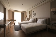 Lazzoni Hotel: Room TWIN SUPERIOR - photo 43