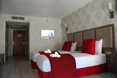 Euro Plaza Hotel: Room - photo 1