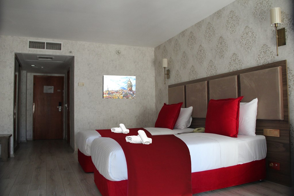 Euro Plaza Hotel: Room