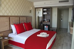 Euro Plaza Hotel: Room - photo 4