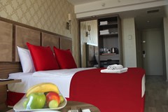 Euro Plaza Hotel: Room DOUBLE STANDARD - photo 15