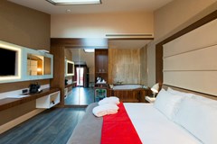 Favori: Room SUITE WITH JACUZZI - photo 13