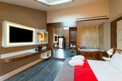 Favori: Room SUITE WITH JACUZZI - photo 17