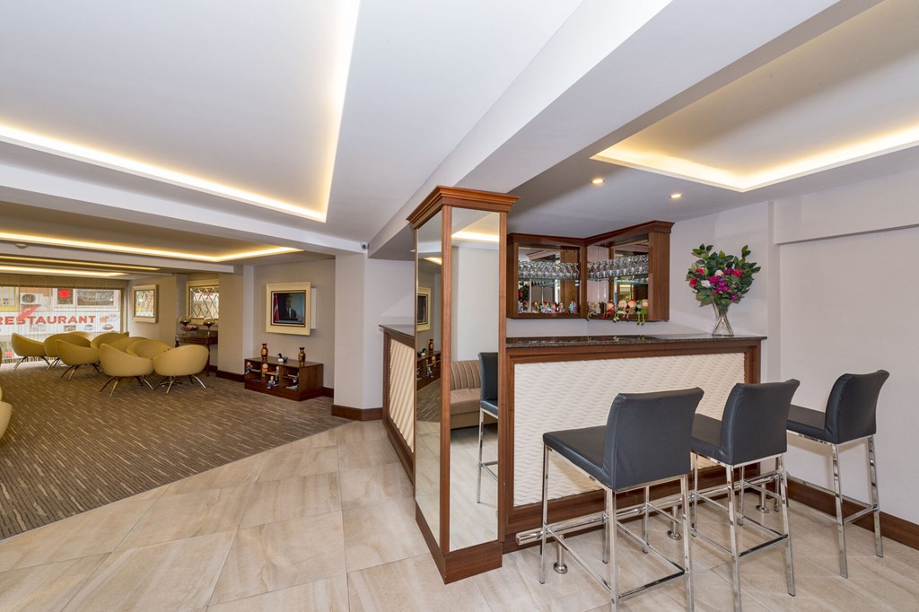 Bergama Hotel Istanbul: Bar