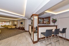 Bergama Hotel Istanbul: Bar - photo 1