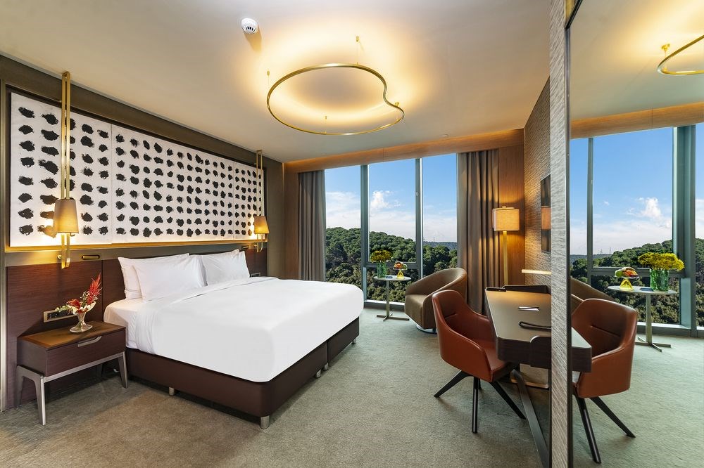 Radisson Blu Hotel Vadistanbul: Room SINGLE STANDARD