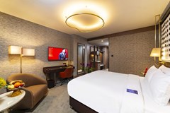 Radisson Blu Hotel Vadistanbul: Room SINGLE STANDARD - photo 11