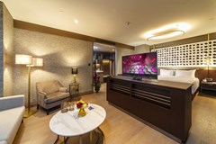 Radisson Blu Hotel Vadistanbul: Room SINGLE PREMIUM - photo 23