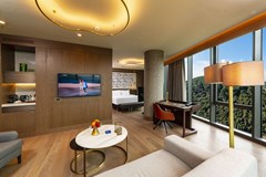 Radisson Blu Hotel Vadistanbul: Room JUNIOR SUITE CAPACITY 1 - photo 39