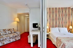 Barin Hotel: Room - photo 31