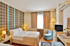 Barin Hotel: Room - photo 45