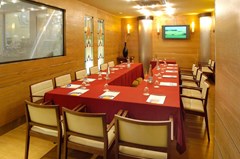 Evenia Rocafort: Conferences - photo 1