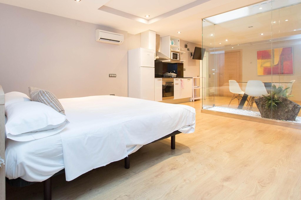 AinB Sagrada Familia Apartments: Room STUDIO CAPACITY 2