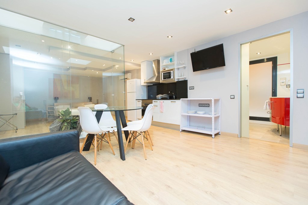 AinB Sagrada Familia Apartments: Room STUDIO CAPACITY 1