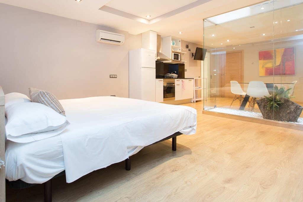 AinB Sagrada Familia Apartments: Room STUDIO CAPACITY 1