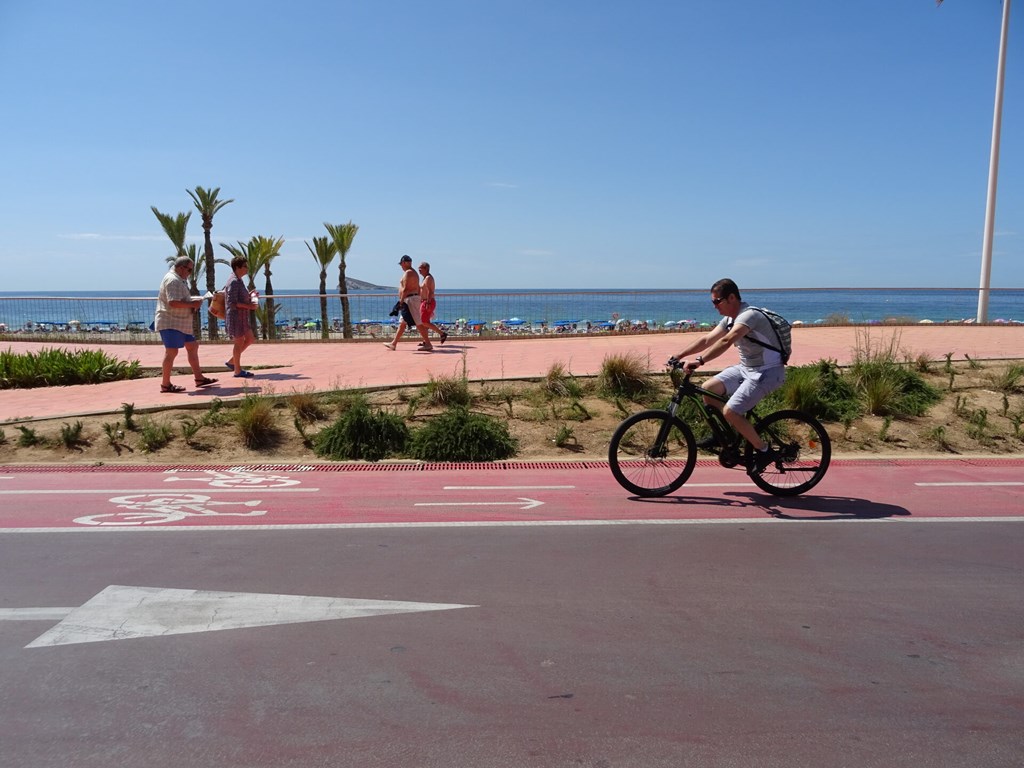 Poseidon Playa: Beach