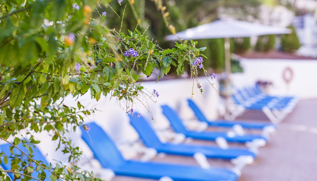 Blue Sea Hotel Calas Marina: Pool