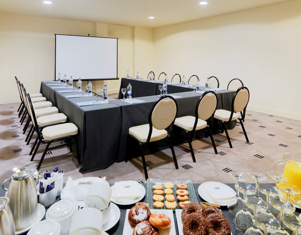 H10 Estepona Palace: Conferences