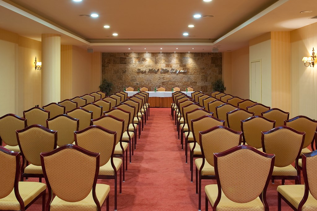 Elba Estepona Gran Hotel & Thalasso Spa: Conferences