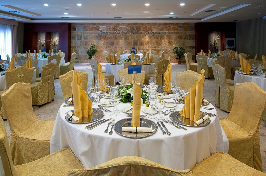 Elba Estepona Gran Hotel & Thalasso Spa: Conferences