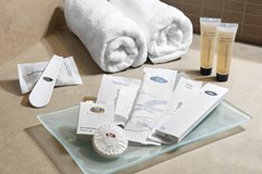 Elba Estepona Gran Hotel & Thalasso Spa: Room DOUBLE SINGLE USE STANDARD - photo 100