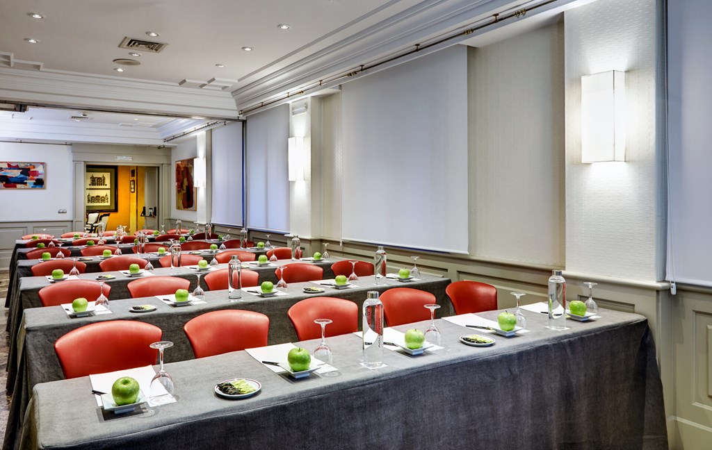 Sercotel Gran Hotel Conde Duque: Conferences