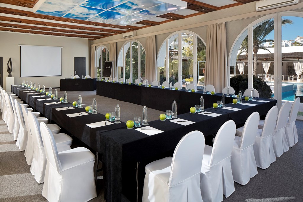 Melia Marbella Banus: Conferences