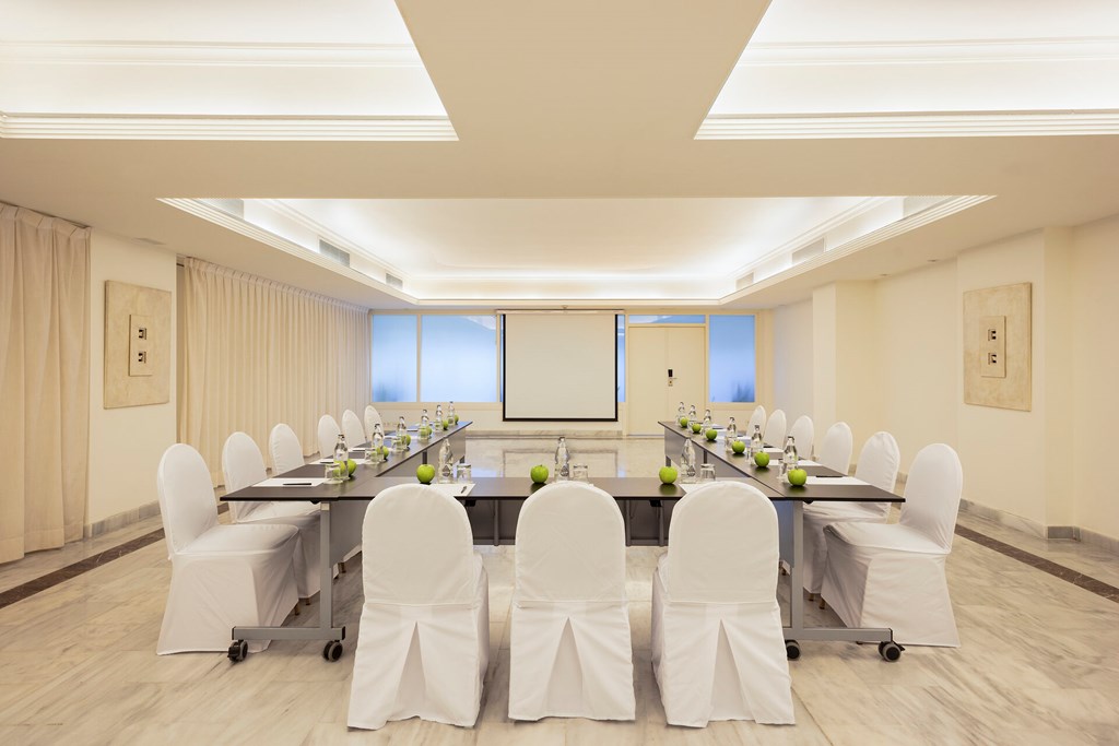 Melia Marbella Banus: Conferences