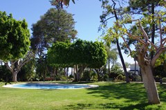 Los Monteros Spa & Golf Resort: Pool - photo 34