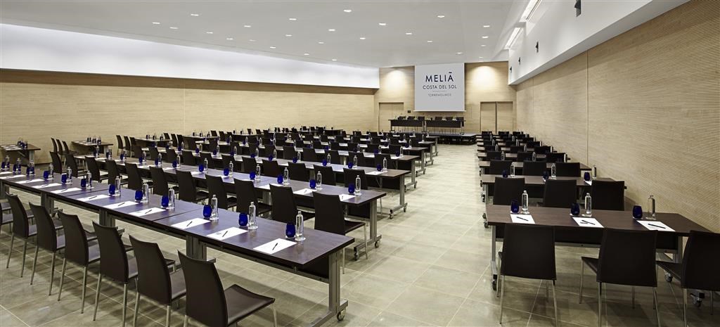 Melia Costa del Sol: Conferences