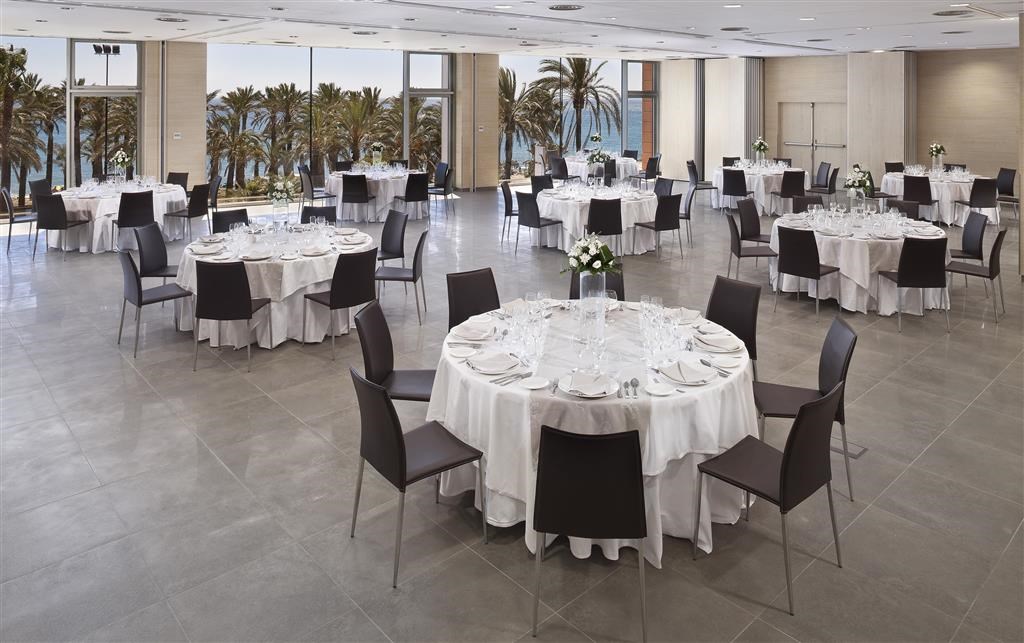 Melia Costa del Sol: Conferences