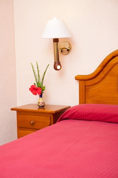 Diverhotel Dino Marbella: Room SINGLE STANDARD - photo 33