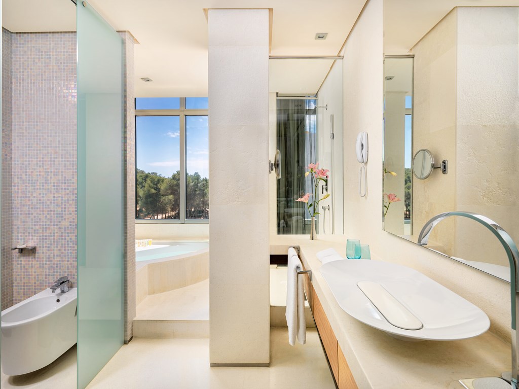 Aguas de Ibiza Grand Luxe Hotel: Room SUITE STANDARD