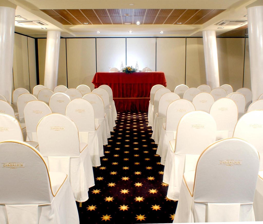 Gran Hotel Guadalpin Banus: Conferences