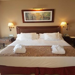 Gran Hotel Guadalpin Banus: Room JUNIOR SUITE SUPERIOR CAPACITY 2 - photo 265