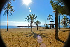 Gran Hotel Guadalpin Banus: Beach - photo 40