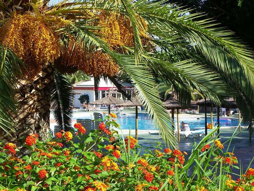 Albir Garden Resort & Aquapark: Pool