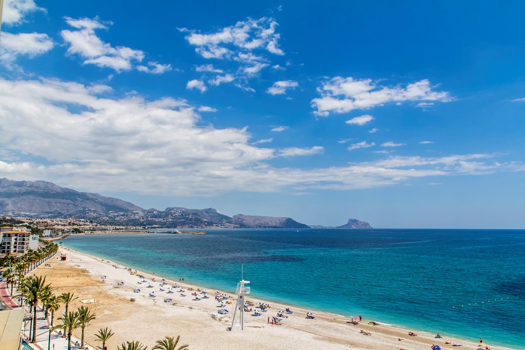 Kaktus Albir: Beach