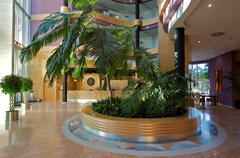 Albir Playa Hotel & Spa: Lobby - photo 40