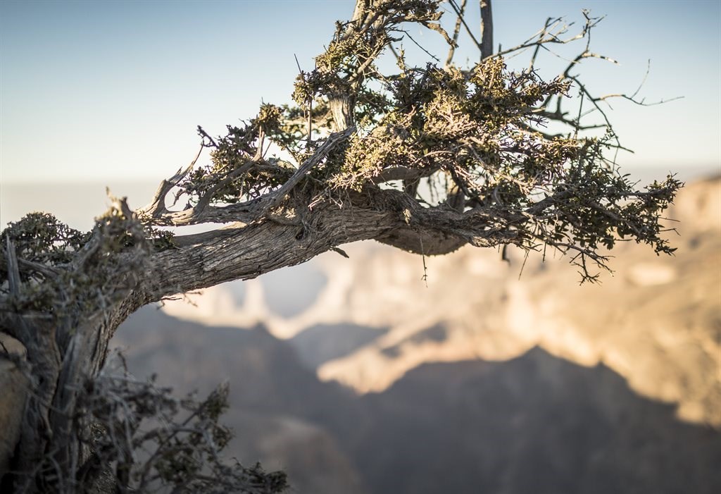 Alila Al Jabal Akhdar Hotel