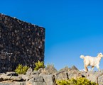 Alila Al Jabal Akhdar Hotel