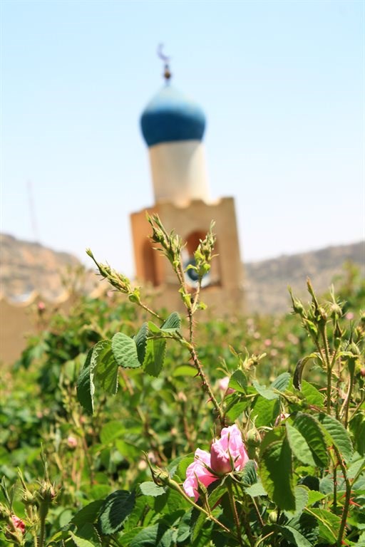 Alila Al Jabal Akhdar Hotel