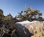 Alila Al Jabal Akhdar Hotel