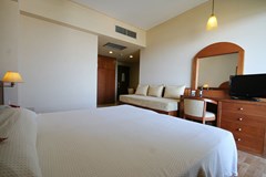 Alexandra City Hotel : Double Room - photo 9
