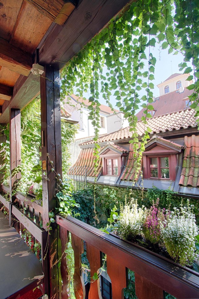 Hotel Waldstein: Terrace