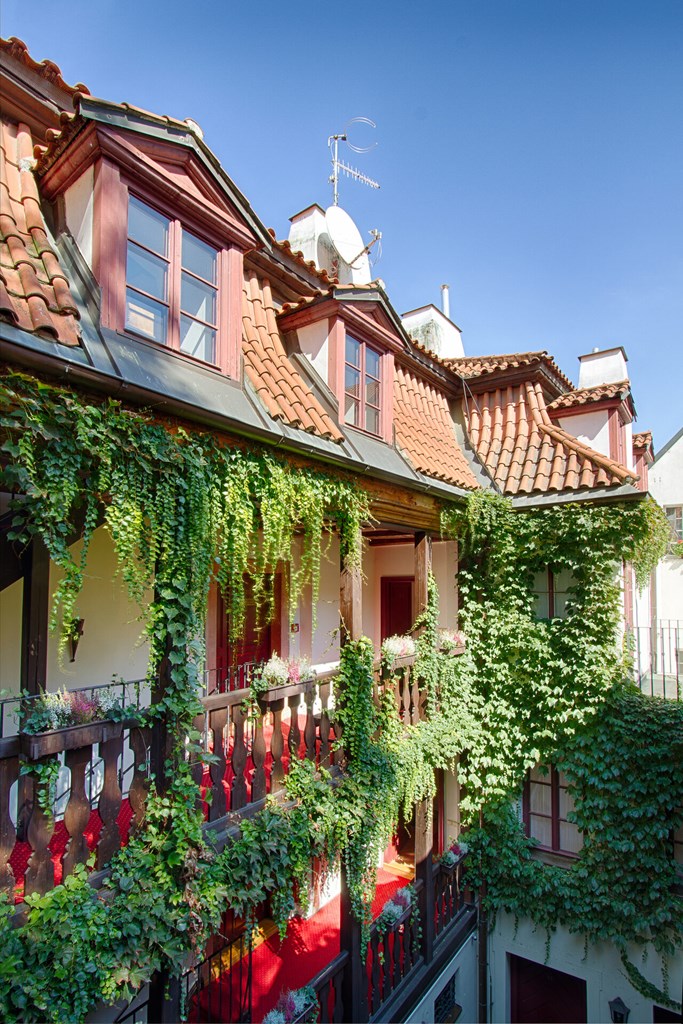 Hotel Waldstein: Terrace