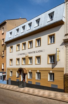 White Lion: General view - photo 16