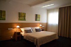 Hotel Clement Prague: Room - photo 30