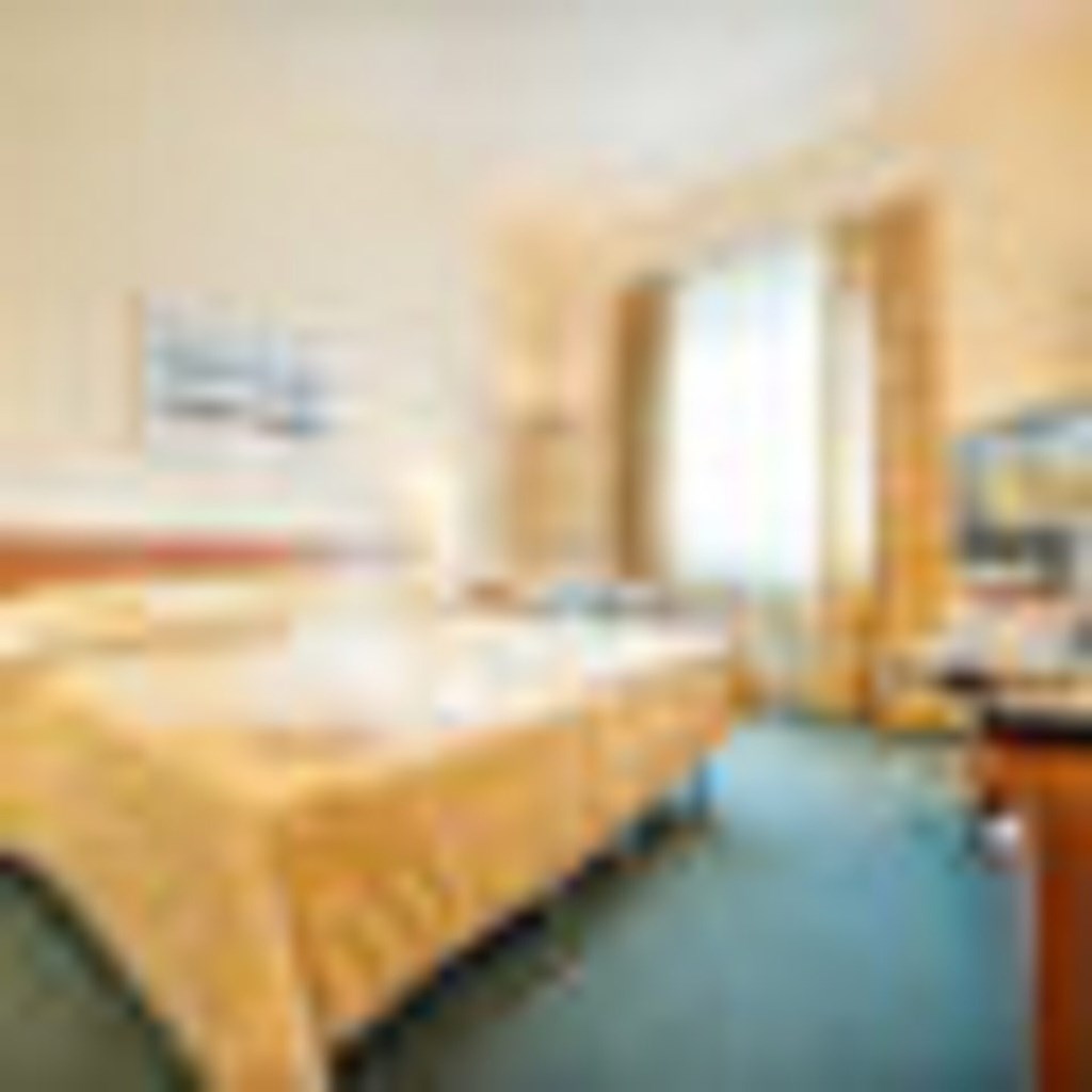 Ramada Airport Prague: Room SINGLE STANDARD