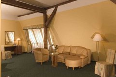 William Sivek Hotels: Room - photo 1